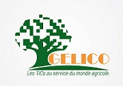 Gelico